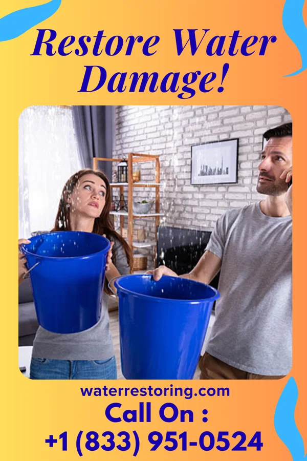 water restoration Rapid Water Repair Services Conway
