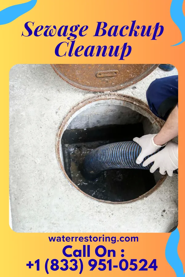 Sewage Backup Cleanup in Conway, NC
